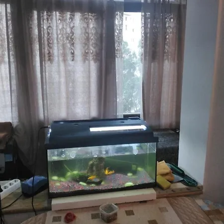 Apartment Jorjgeo